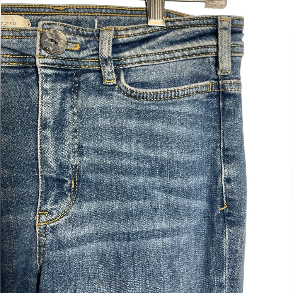 Anthropologie Pilcro and the Letterpress jeans size 27 High Rise Skinny Jeans 💙